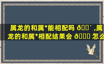 属龙的和属*
能相配吗 🐴 ,属龙的和属*
相配结果会 🐕 怎么样